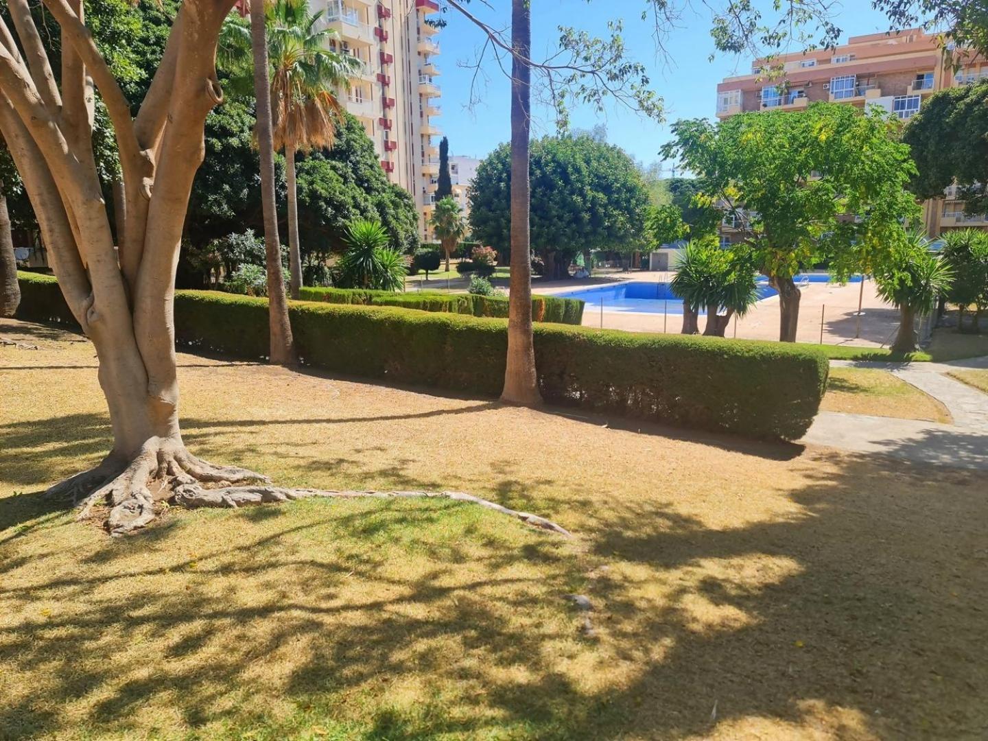 Estudio Aguila Prive Aceptamos Mascotas Benalmádena Eksteriør billede